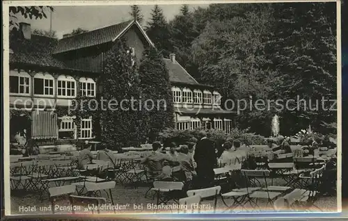 Blankenburg Harz Hotel u.Pension "Waldfrieden" Kat. Blankenburg