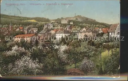 Blankenburg Harz Villenpartie mit Silberhorn u.Ziegenkopf Kat. Blankenburg