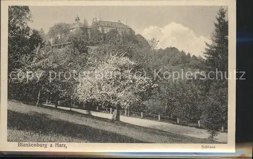 Blankenburg Harz Blick zum Schloss Kat. Blankenburg