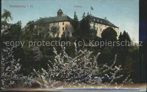 Blankenburg Harz Schloss Kat. Blankenburg