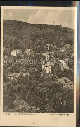 Blankenburg Harz Mit Ziegenkopf Kat. Blankenburg