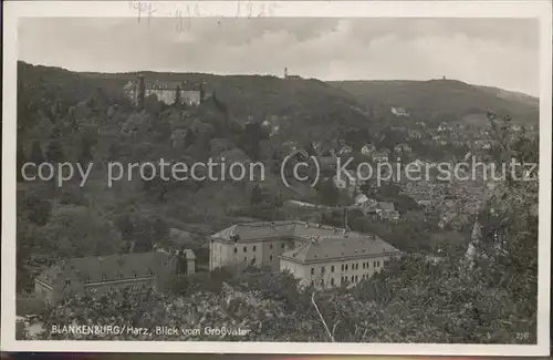 Blankenburg Harz Blick vom Grossvater Kat. Blankenburg