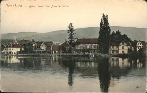 Ilsenburg Harz Forellenteich Kat. Ilsenburg Harz