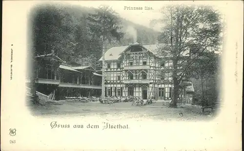 Ilsenburg Harz Ilsethal Prinzess Ilse Kat. Ilsenburg Harz