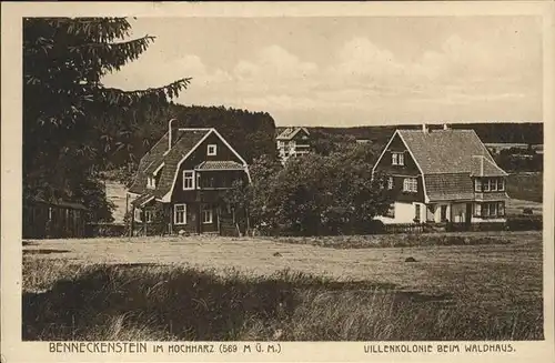 Benneckenstein Hochharz Villenkolonie Waldhaus Kat. Benneckenstein