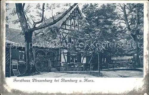 Plessenburg Ilsenburg Forsthaus Kat. Ilsenburg Harz