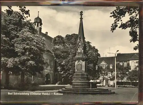 Bad Schmiedeberg Rathaus Brunnen