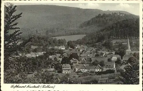 Neustadt Harz Panorama Kat. Neustadt Harz