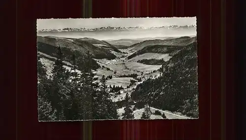 Feldberg Schwarzwald Menzenschwandertal mit Schweizer Alpenkette  Kat. Feldberg (Schwarzwald)