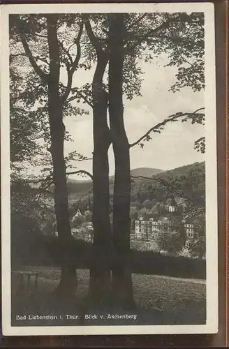 Bad Liebenstein Blick vom Aschenberg Kat. Bad Liebenstein