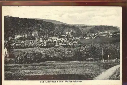 Bad Liebenstein vom Marienwaeldchen Kat. Bad Liebenstein