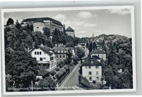 Tuebingen Neckarhalde Schloss *