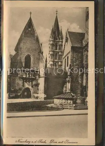 Naumburg Saale Dom Brunnen Kat. Naumburg