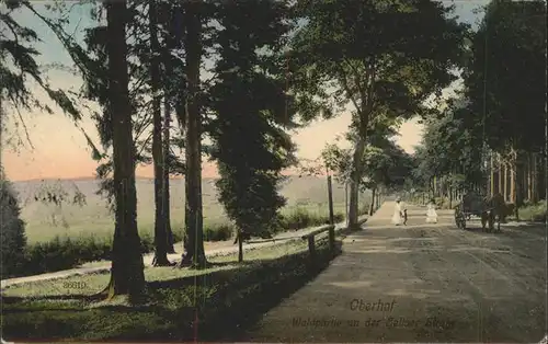 Oberhof Thueringen Waldpartie Zellaer Strasse Kat. Oberhof Thueringen