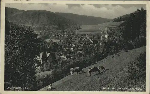 Leutenberg Thueringen Blick von der Schweizerhoehe Kat. Leutenberg