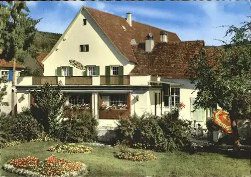 Bickensohl Winzerhaus Rebstock Kat. Vogtsburg im Kaiserstuhl