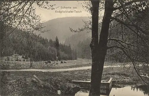 Stuetzerbach Schorte am Knoepfelstaler Teich Kat. Stuetzerbach