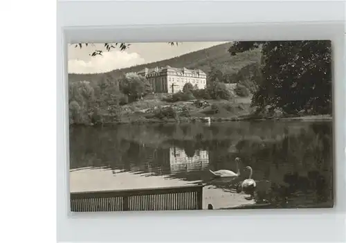 Ilmenau Thueringen Schwaene Goethe Oberschule Kat. Ilmenau