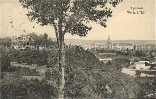 Weida Thueringen Alpenrose Kat. Weida Thueringen