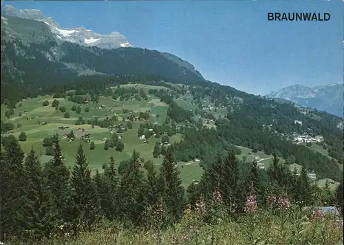 Braunwald GL Gesamtansicht Kat. Braunwald