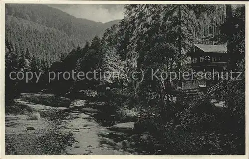 Sitzendorf Thueringen Schweizerhauslandschaft Aufstieg Trippstein Kat. Sitzendorf Schwarzatal