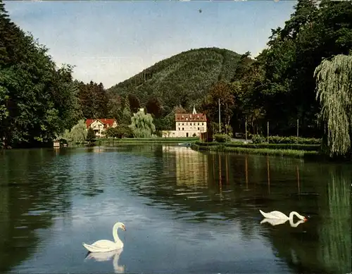 Bad Bergzabern Schwanenweiher Kat. Bad Bergzabern