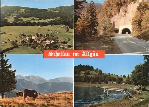 Scheffau Scheidegg  / Scheidegg /Lindau LKR