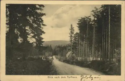 Holzhau Rechenberg Bienenmuehle Torfhaus Kat. Rechenberg Bienenmuehle