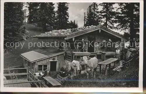 Schliersee Kesselalm Cafe Kat. Schliersee