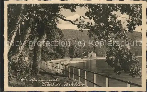 Waldshut Tiengen Rhein Neue Rheinpromenade Kat. Waldshut Tiengen