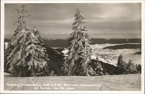 Feldberg Schwarzwald Blick vom Herzogenhorn auf Bernau und die Alpen Kat. Feldberg (Schwarzwald)