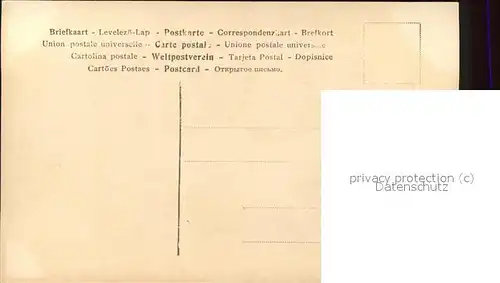 Adel Preussen Kronprinzenpaar  Wilhelm Cecilie Kat. Koenigshaeuser