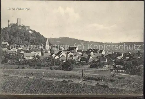 Falkenstein Oberpfalz Burg Falkenstein / Falkenstein /Cham LKR