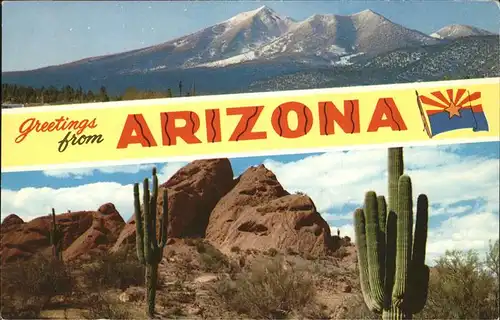 Phoenix Arizona Panorama Mountains Desert Cactus Kat. Phoenix