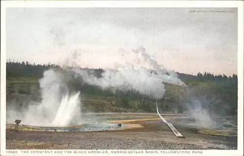 Yellowstone National Park Constant and Black Growler Norris Geyser Basin Kat. Yellowstone National Park