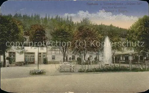 Dittersdorf Amtsberg Gasthaus Sommerfrische "Gruenes Tal" Kat. Amtsberg