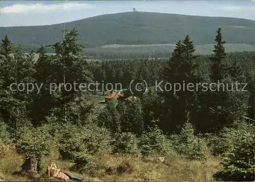 Brocken Partie im Hochharz Kat. Wernigerode