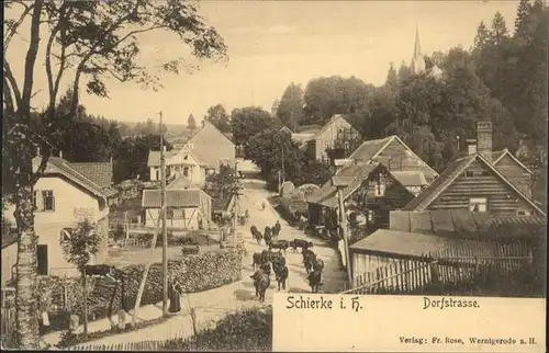 Schierke Harz Dorfstrasse Kuehe / Schierke Brocken /Harz LKR