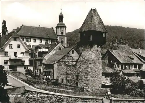 Waldshut-Tiengen Hochrhein Storchenturm *