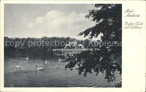 Bad Nauheim Grosser Teich mit Teichhaus Kat. Bad Nauheim