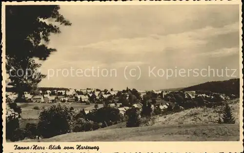 Tanne Harz Blick vom Harteweg Kat. Tanne Harz