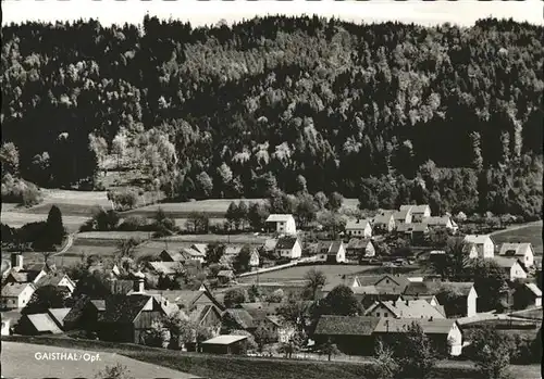 Gaisthal Oberpfalz Panorama Kat. Schoensee