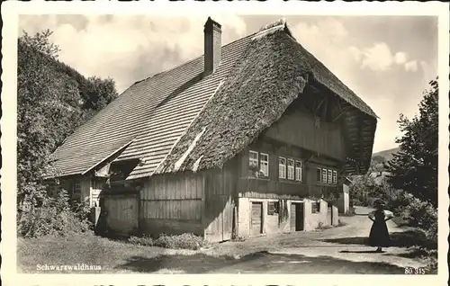 Schwarzwaldhaeuser  Kat. Gebaeude und Architektur