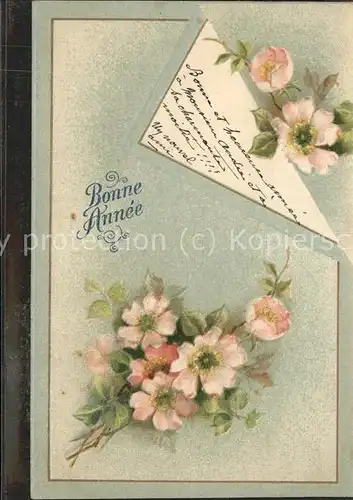 Geburtstag Bonne Anne Blumen / Greetings /