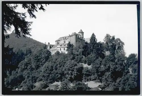 Nuerburg Neuerburg Eifel Burg * / Nuerburg /Ahrweiler LKR