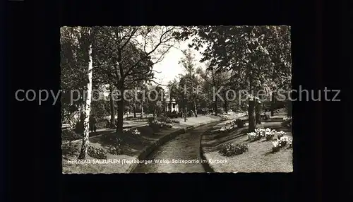 Bad Salzuflen Salze im Kurpark Kat. Bad Salzuflen