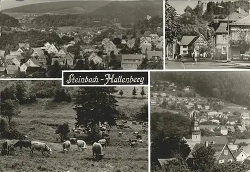 Steinbach Hallenberg Gesamtansicht Strassenpartie Hallenburg Kirche Viehweide Kat. Steinbach Hallenberg