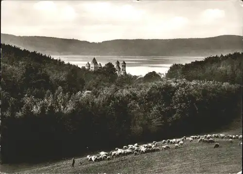 Mendig Eifel Abtei Basilika Maria Laach Laacher See Blick vom Nikolausberg Schafherde Kat. Mendig