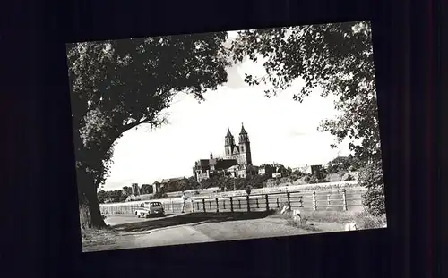 Magdeburg Blick zum Dom Uferstrasse an der Elbe Kat. Magdeburg