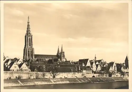 Ulm Donau Altstadt und Muenster Kat. Ulm